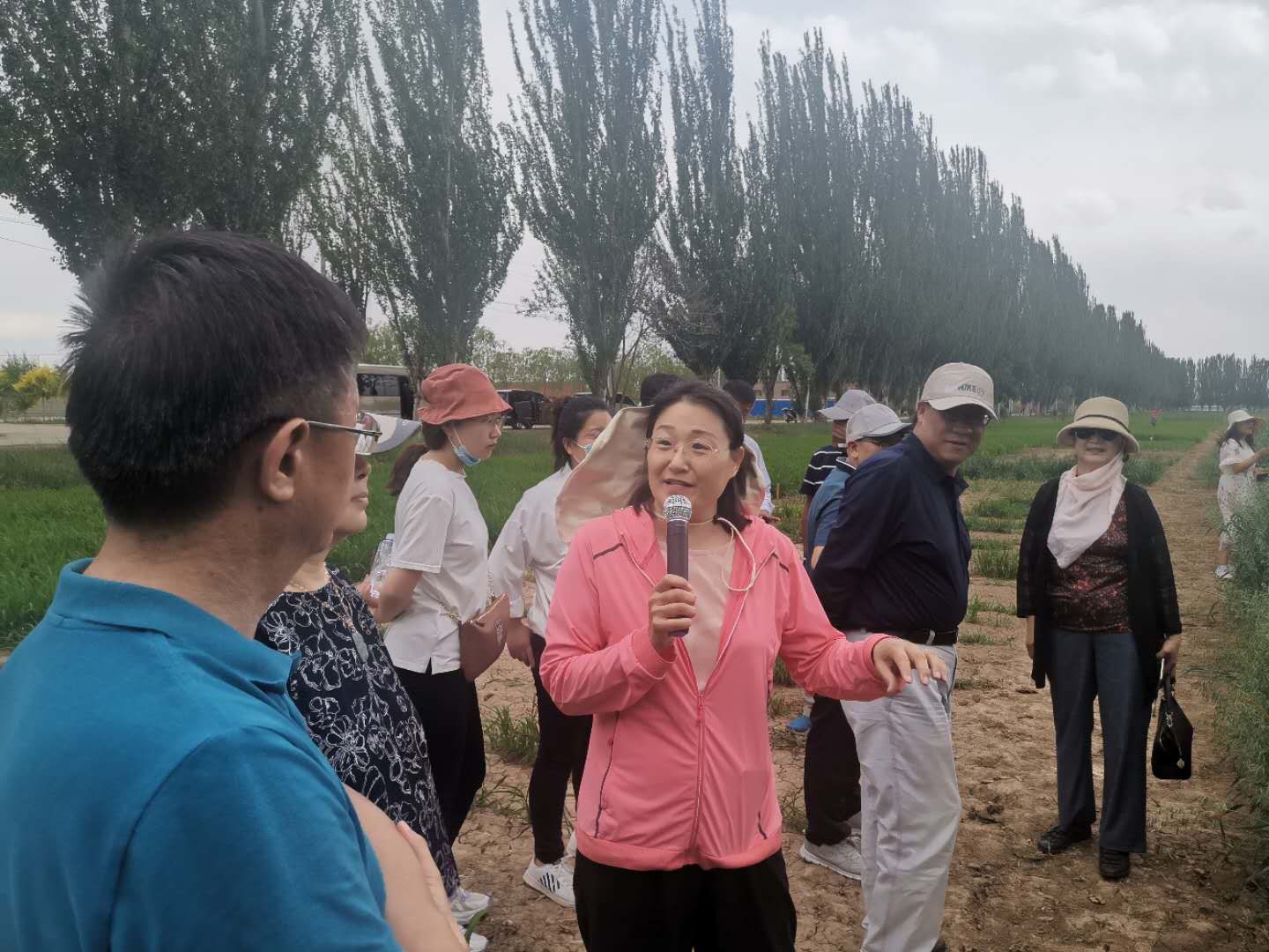 自治区育种专项宁夏适生优质饲草新品种选育与良种繁育