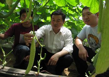 李建设（中）教授指导学生蔬菜栽培技术